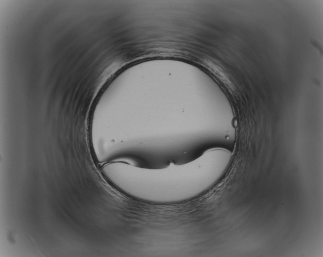 X0000097801283200803281027