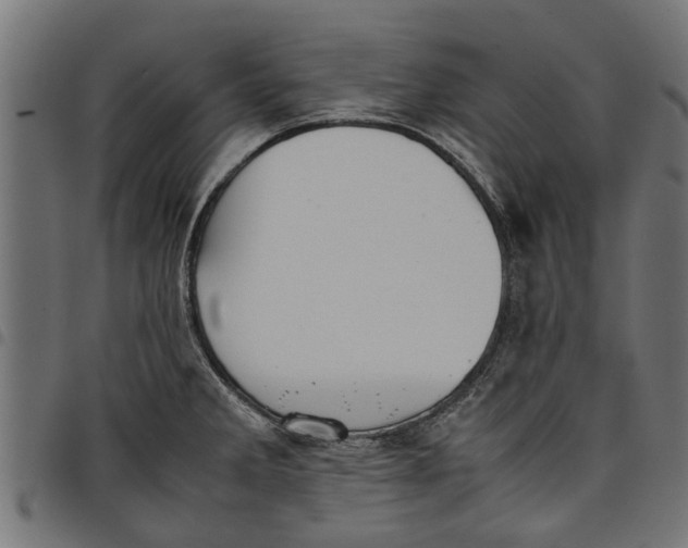 X0000097801285200803281026