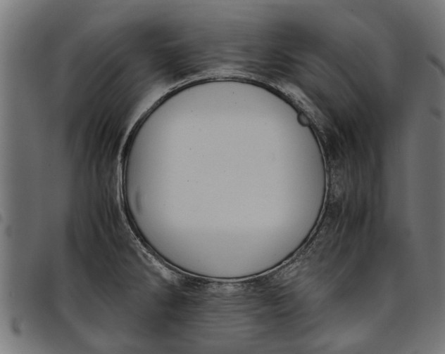 X0000097801286200803281026