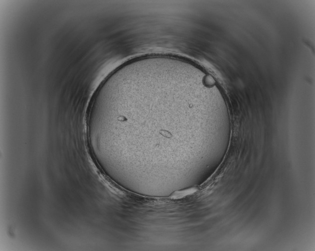 X0000097801287200803281026