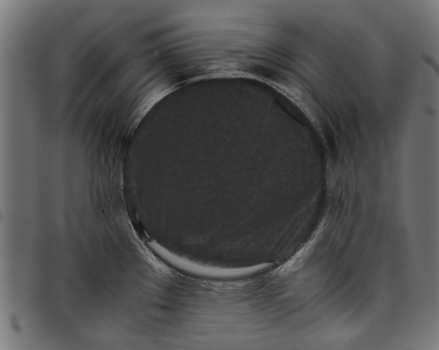 X0000097801289200803281026