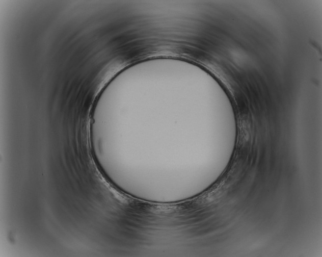 X0000097801290200803281026