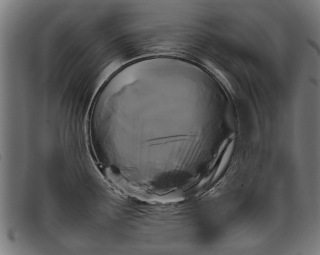 X0000097801291200803281026