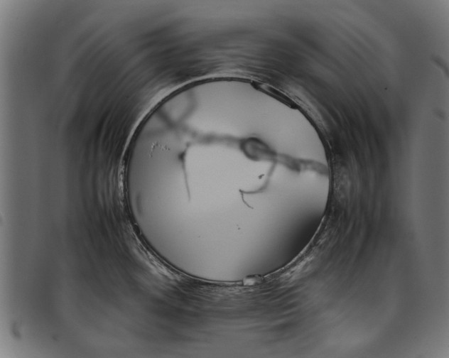 X0000097801292200803281026