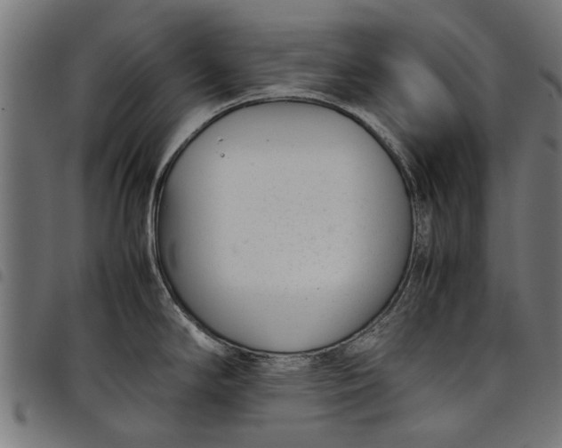 X0000097801294200803281026