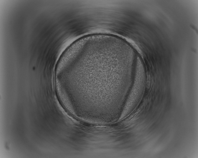 X0000097801295200803281026