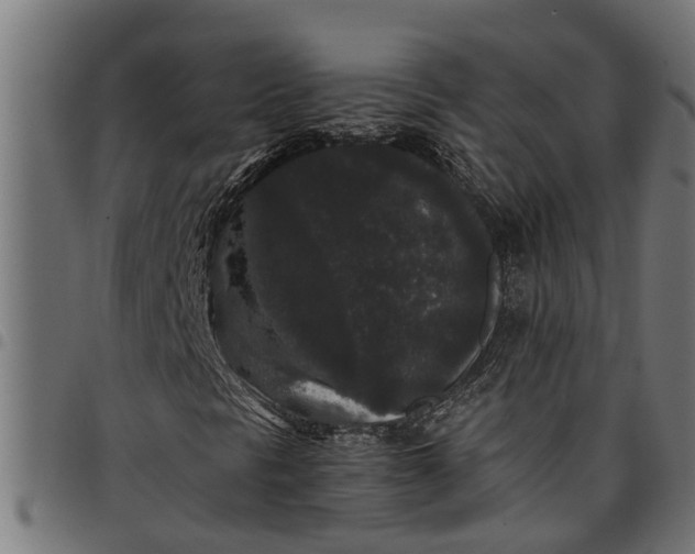 X0000097801297200803281026