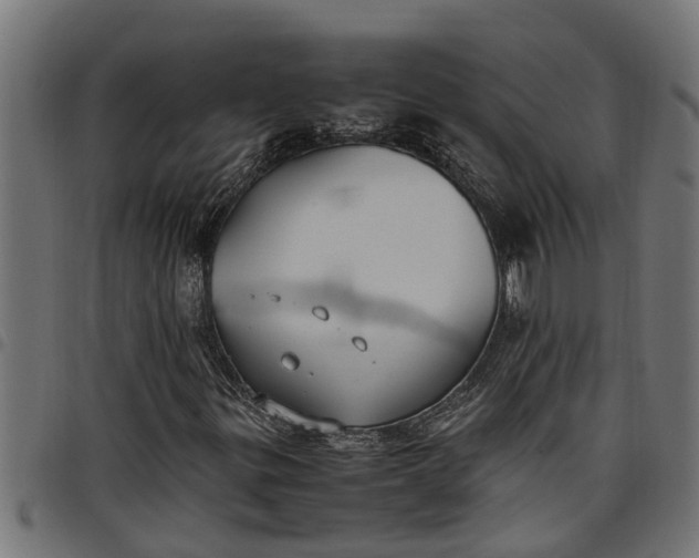 X0000097801299200803281026