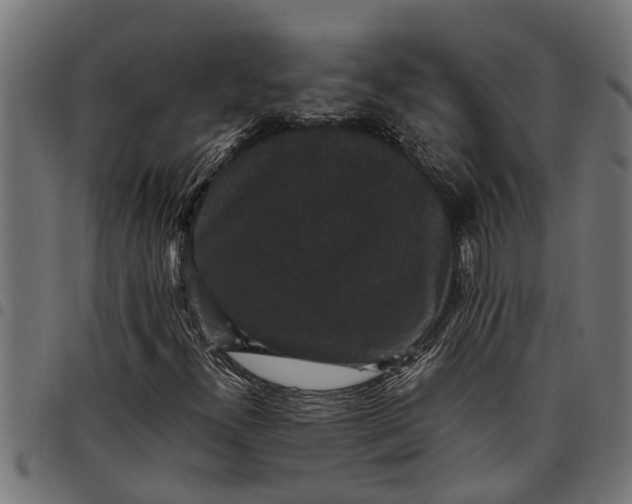 X0000097801300200803281026