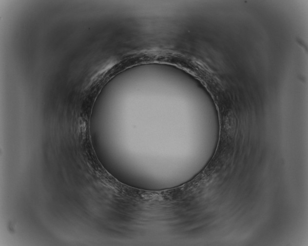 X0000097801302200803281026