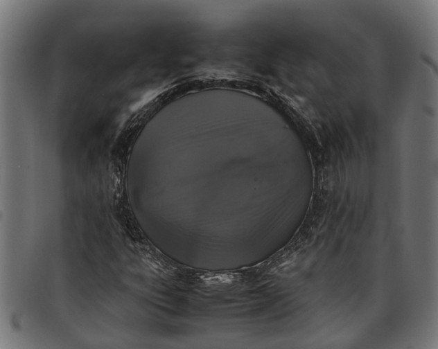 X0000097801303200803281026