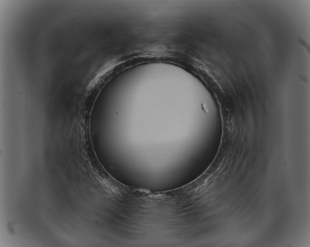 X0000097801304200803281026