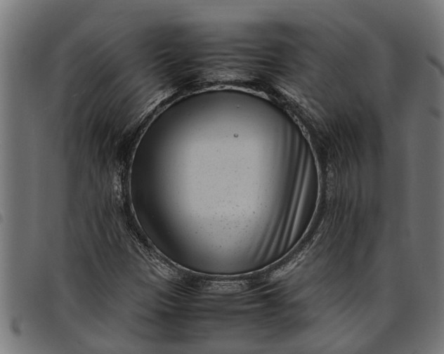 X0000097801305200803281026