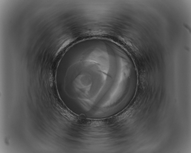 X0000097801306200803281026