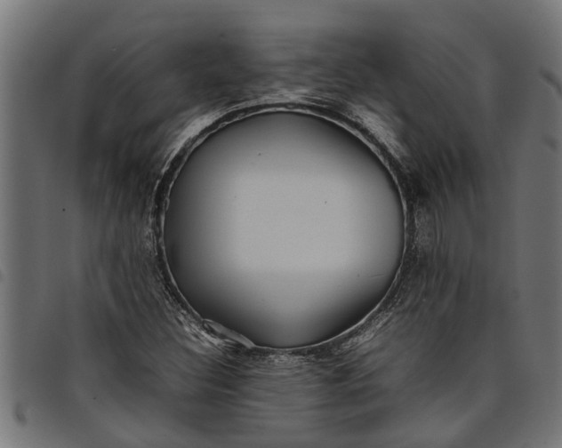 X0000097801308200803281026