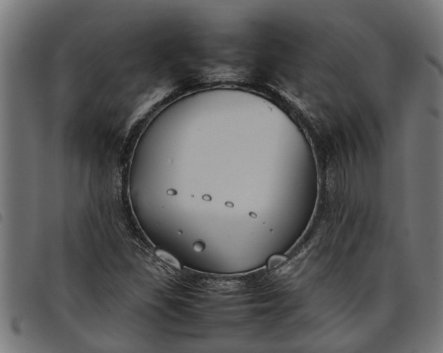 X0000097801309200803281026