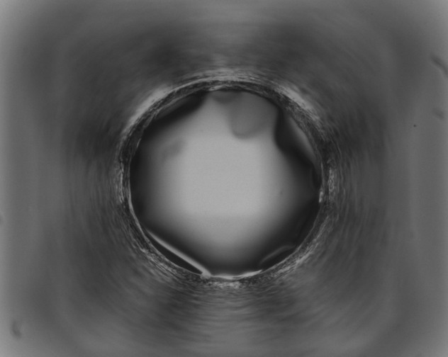 X0000097801310200803281026