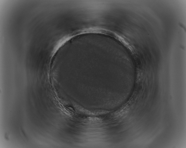 X0000097801312200803281026