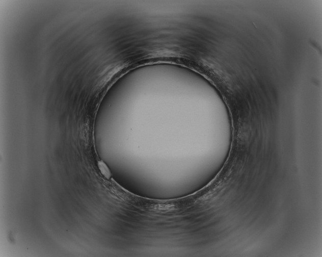 X0000097801313200803281026