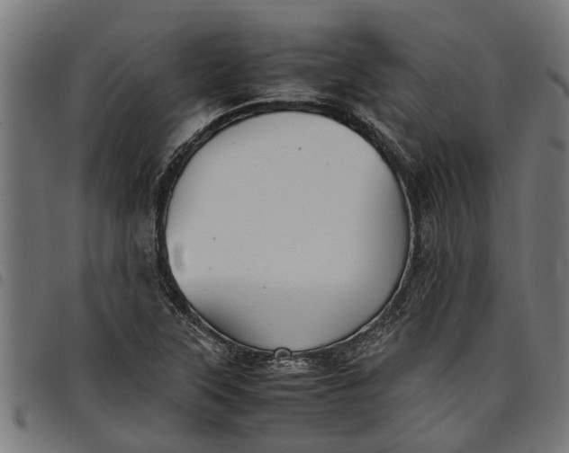 X0000097801315200803281026