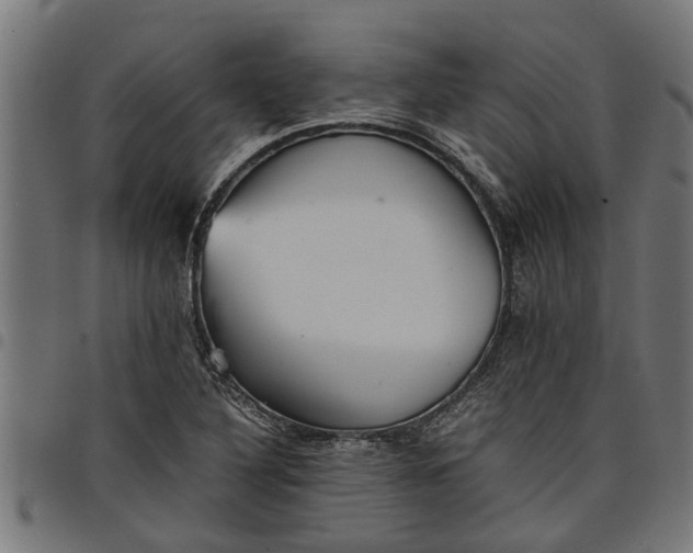 X0000097801316200803281026