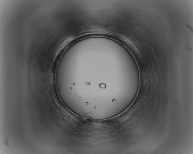 X0000097801318200803281026