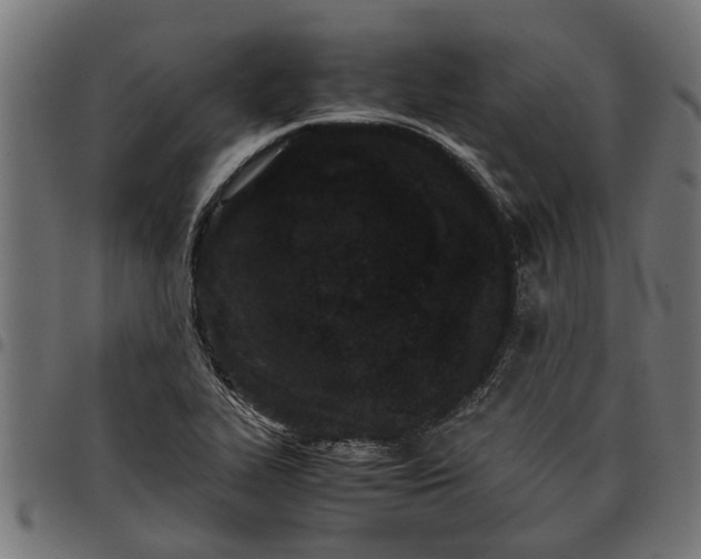 X0000097801319200803281026