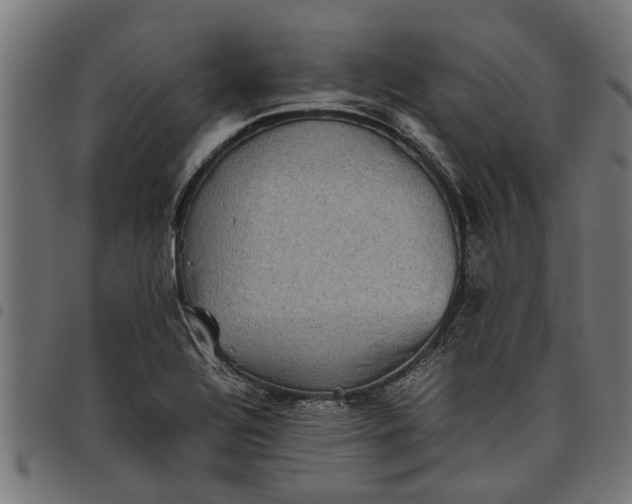 X0000097801320200803281026