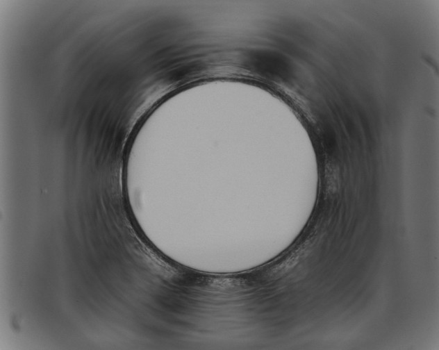 X0000097801322200803281026