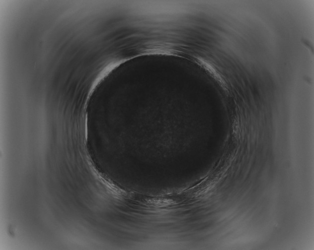 X0000097801323200803281026