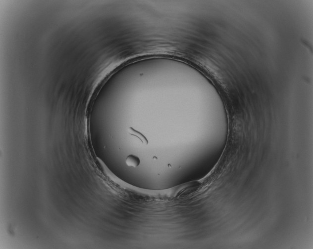 X0000097801324200803281026