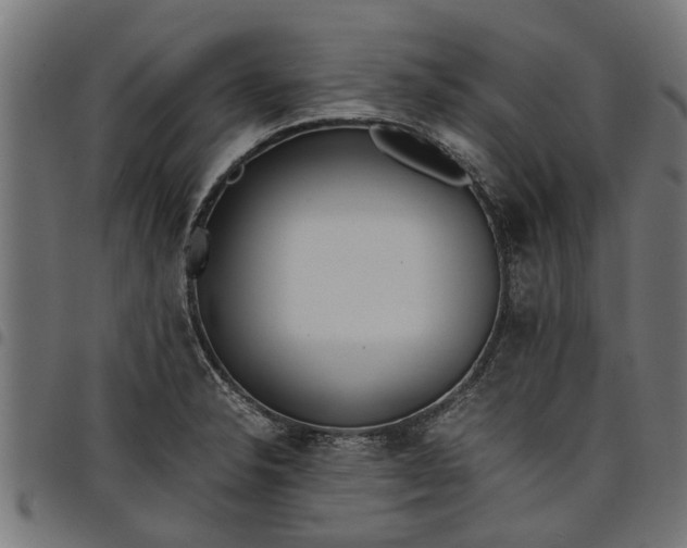 X0000097801326200803281026