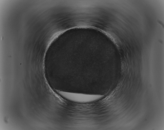 X0000097801327200803281026