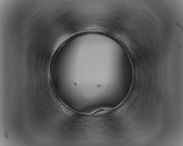 X0000097801328200803281026