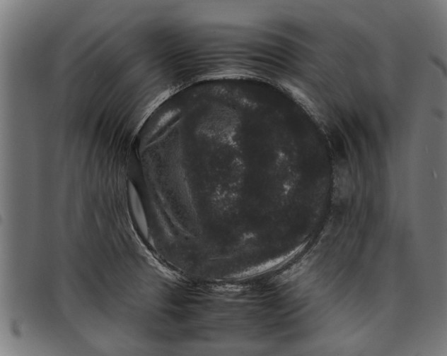 X0000097801329200803281026