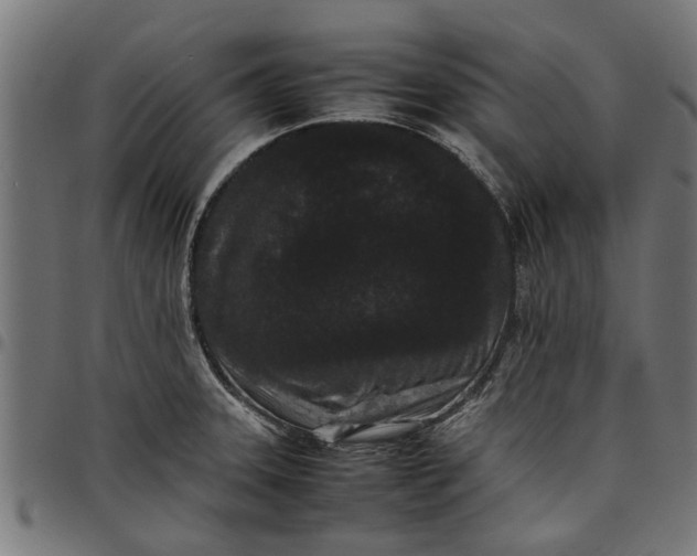 X0000097801331200803281026