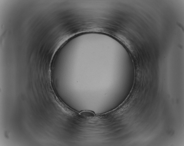 X0000097801332200803281026