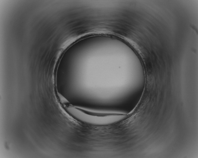 X0000097801335200803281026