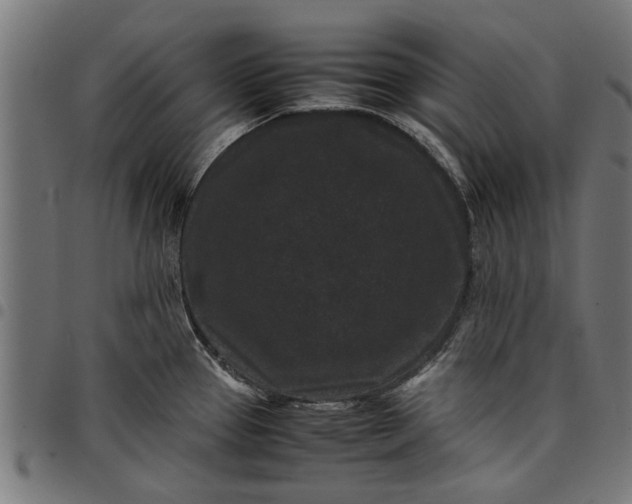 X0000097801337200803281026