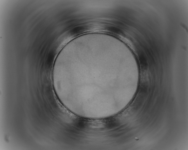 X0000097801338200803281026