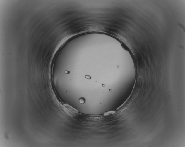 X0000097801339200803281026