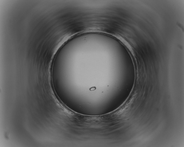 X0000097801341200803281026