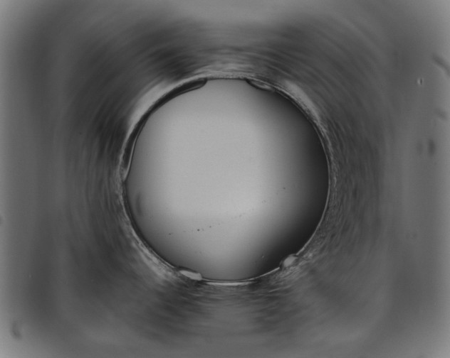 X0000097801344200803281026