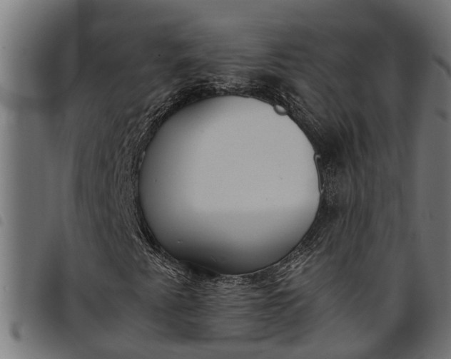 X0000097801345200803281026