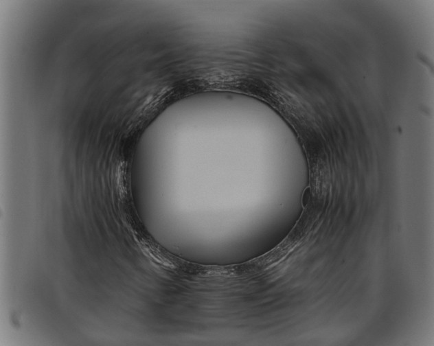 X0000097801346200803281026