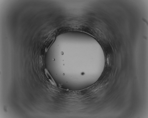 X0000097801347200803281026