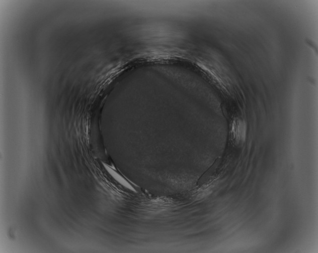 X0000097801348200803281026