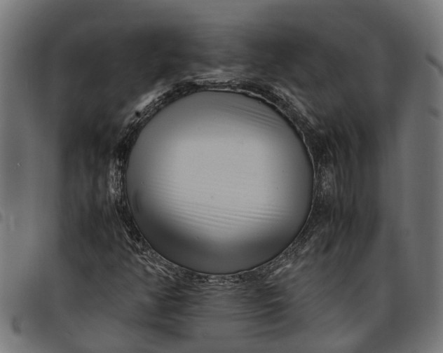 X0000097801350200803281026