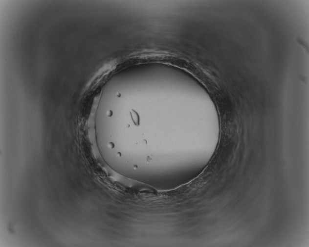 X0000097801351200803281026