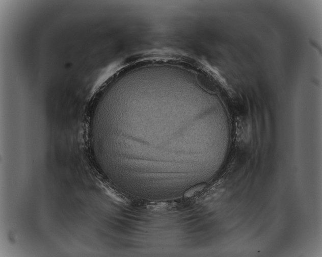 X0000097801352200803281026